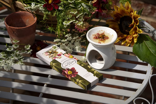 Freckleface x Laura Ashley Vintage 53 Bundle