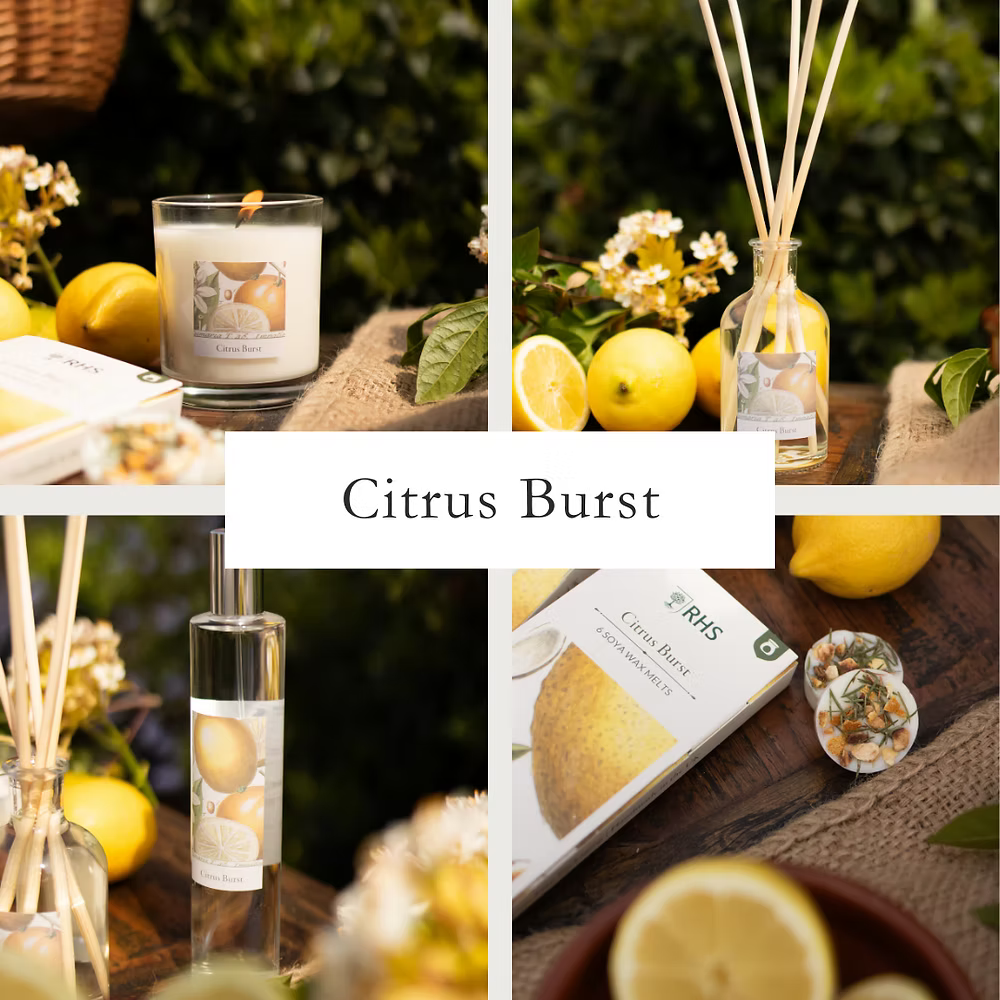 RHS Heritage Starter Bundles