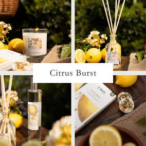 RHS Heritage Starter Bundles