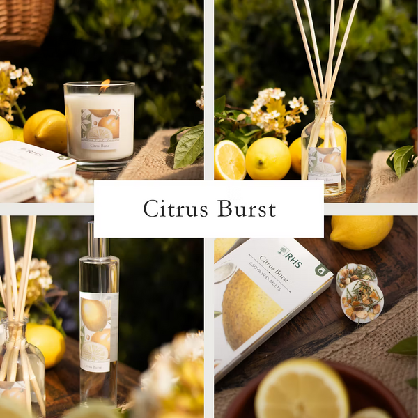 RHS Heritage Starter Bundles