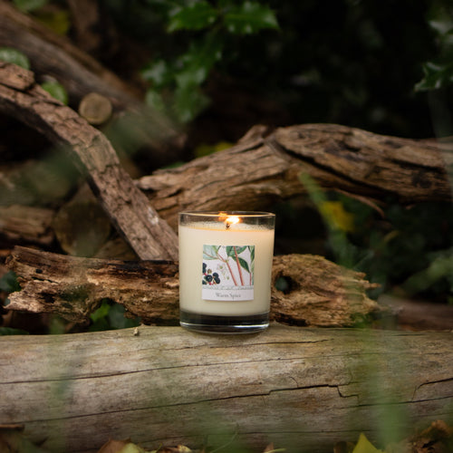 RHS Heritage Glass Candle