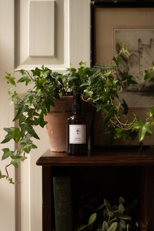 RHS Botanics Room Spray