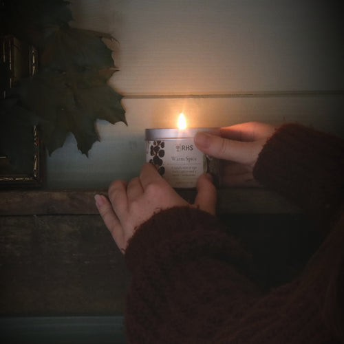 RHS Heritage Tin Candle