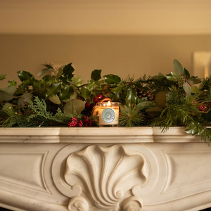 Freckleface Bestsellers Autumn Winter Bundle