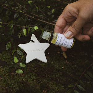 Ceramic Star Scent Carrier