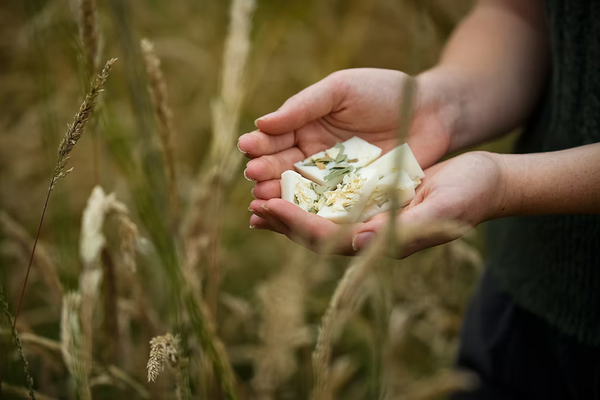 Laura Ashley Starter Bundle