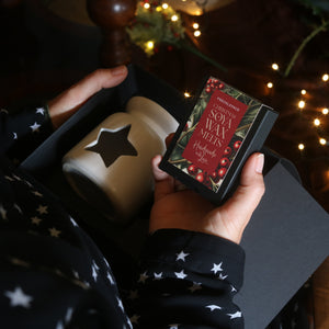 Winterberry Wax Melt Gift Set