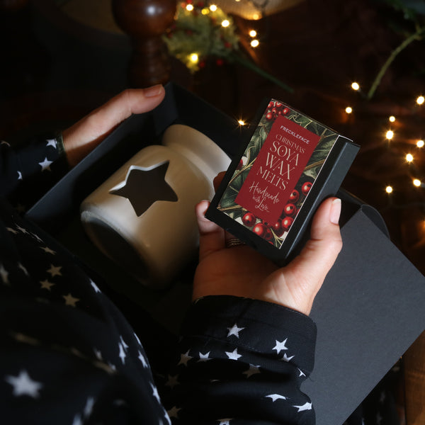 Winterberry Wax Melt Gift Set