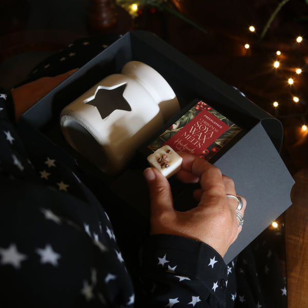 Winterberry Wax Melt Gift Set