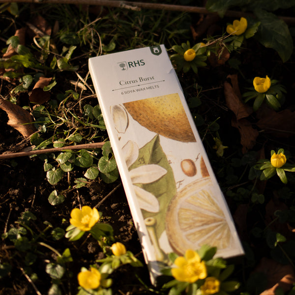Freckleface x RHS Heritage Citrus Burst Bundle