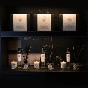 Freckleface Bestsellers Spring Summer Bundle