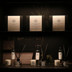 Freckleface Bestsellers All Year Round Bundle