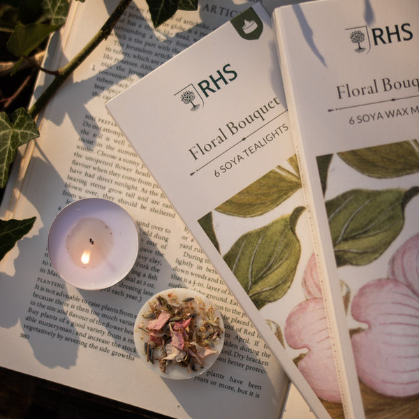 Freckleface x RHS Heritage Spring Summer Bundle