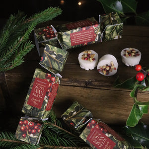 Wax Melt Christmas Cracker