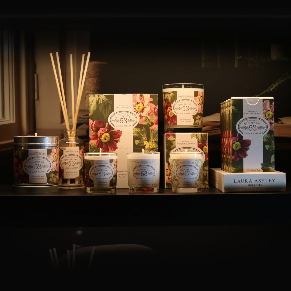 Freckleface x Laura Ashley Vintage 53 Bundle